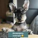 Apartament Classic&modern