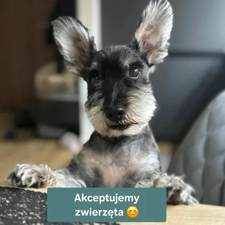 Apartamento Classic&modern